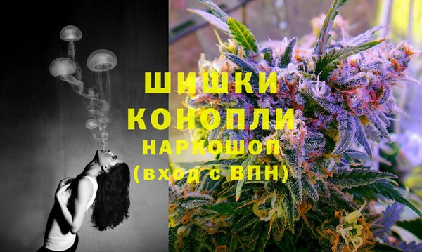 твердый Пестово
