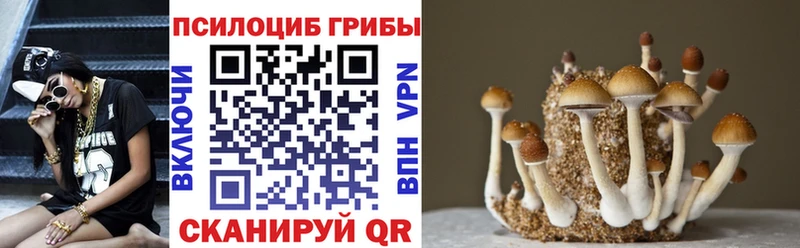 Псилоцибиновые грибы Psilocybe  купить наркоту  Балахна 