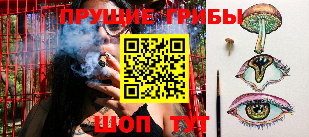 Псилоцибиновые грибы MAGIC MUSHROOMS Балахна