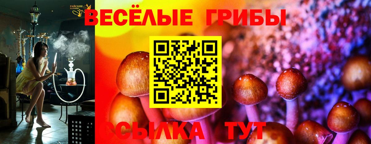 Балахна  Галлюциногенные грибы ЛСД  Вход с VPN 