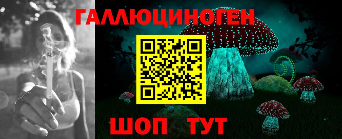 Псилоцибиновые грибы MAGIC MUSHROOMS  Балахна  Псилоцибиновые грибы прущие грибы 