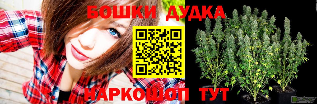Шишки марихуана сатива  Марихуана семена  Бошки марихуана THC 21%  Вход с VPN  Балахна 